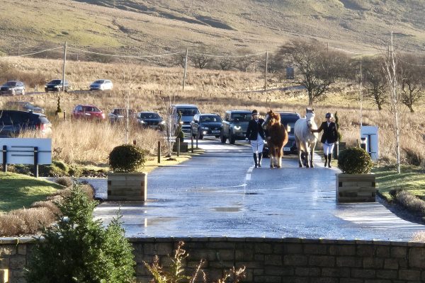 Ponies leading the cortege